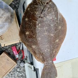 最後にドラマが